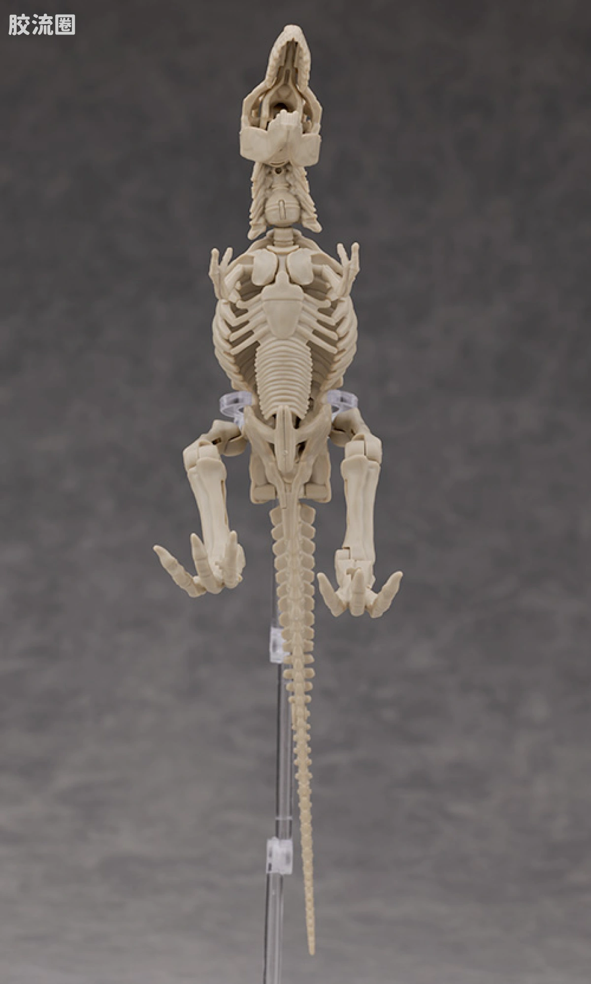 万代综合拼装模型系列 Plannosaurus <侏罗纪世界 重生> 霸王龙 - 图片